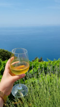 La route des vins italienne